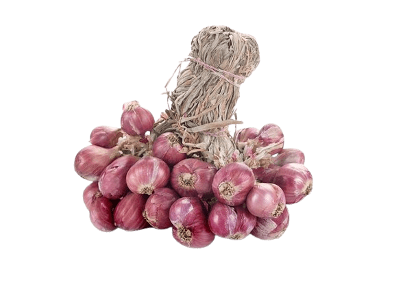 Jual Bawang Merah Brebes